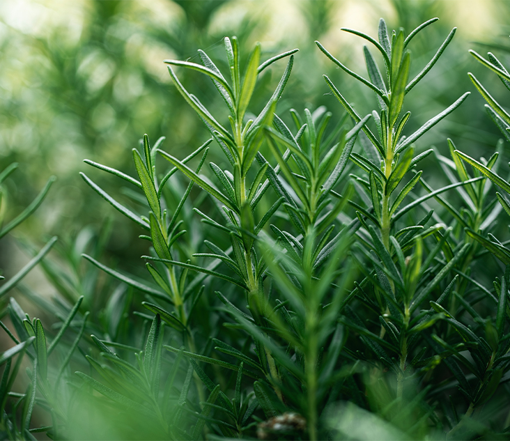 건강검진 이미지