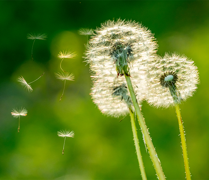 여드름 자국 예방법