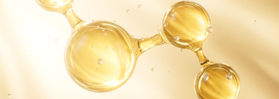 서브페이지 이미지