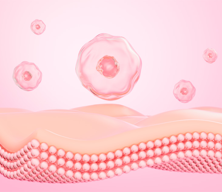 백반증 원인 이미지